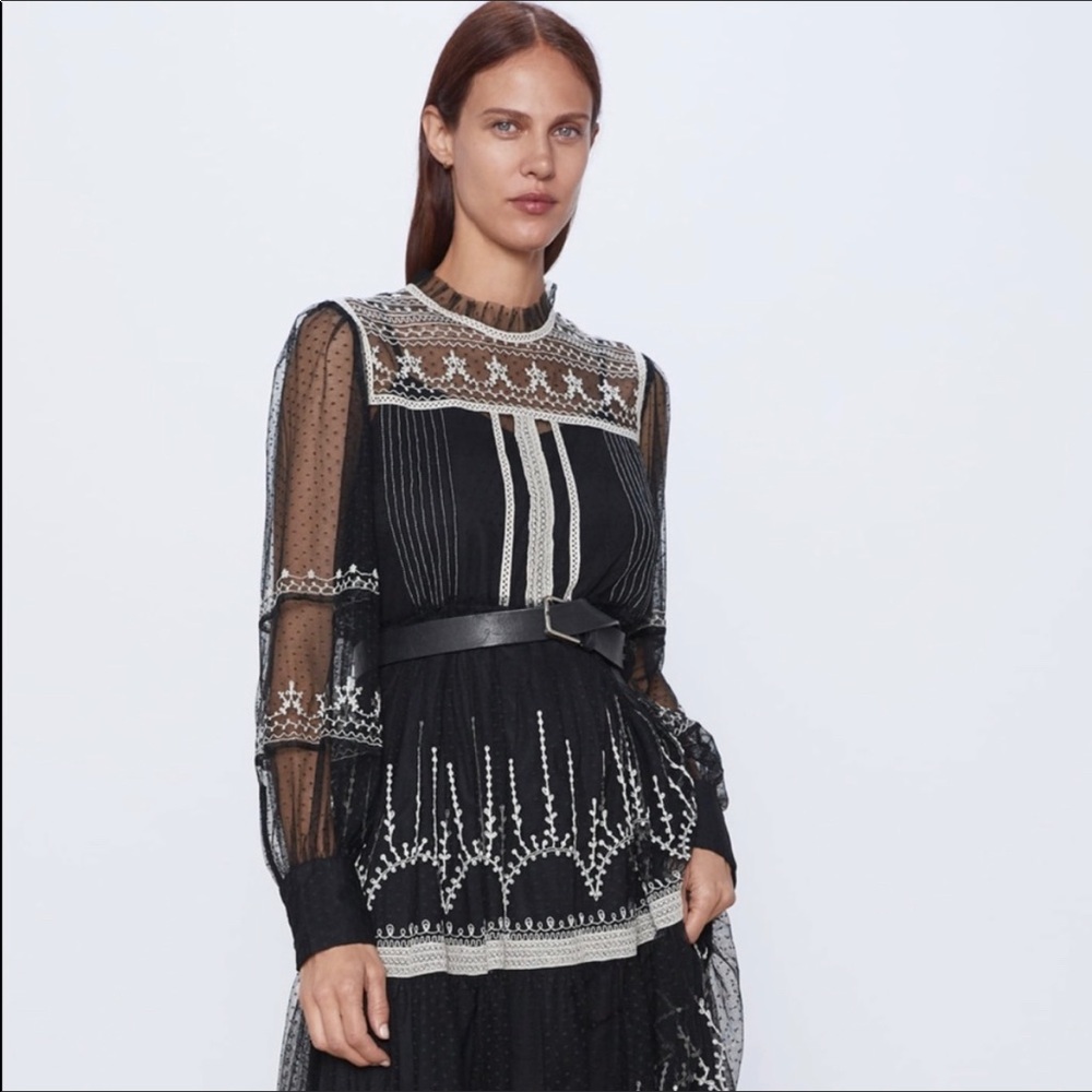 Zara embroidered tulle dress in black and white